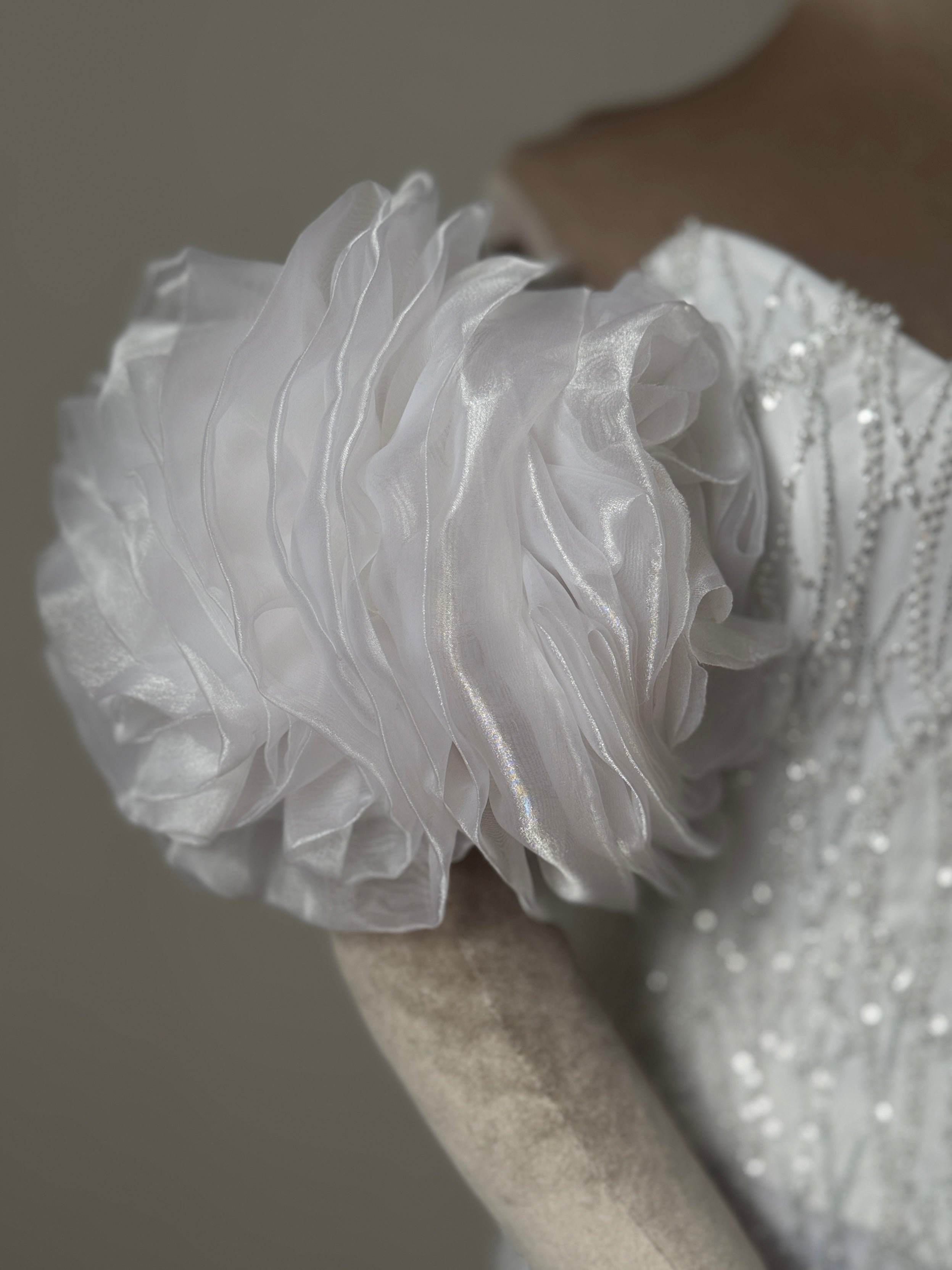 Cloud Sleeve Bridal Gown