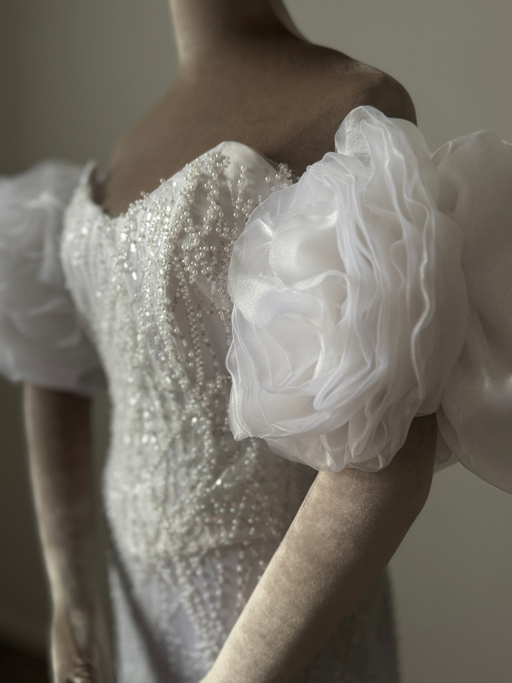 Cloud Sleeve Bridal Gown